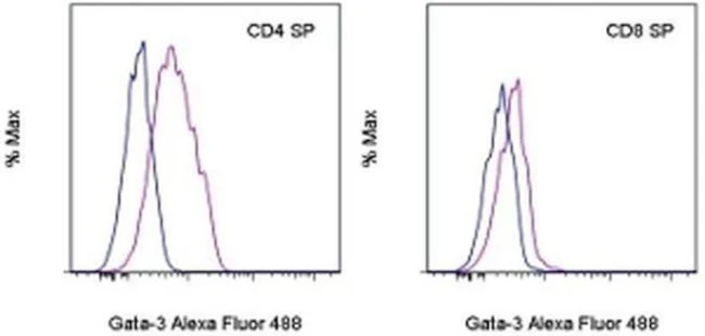 Gata-3 Monoclonal Antibody (TWAJ), Alexa Fluor 488, eBioscience