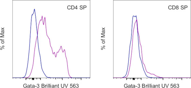 Gata-3 Monoclonal Antibody (TWAJ), Brilliant Ultra Violet 563, eBioscience