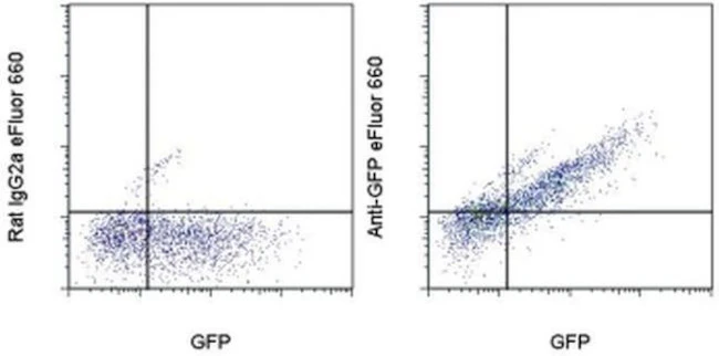 GFP Monoclonal Antibody (5F12.4), eFluor 660, eBioscience