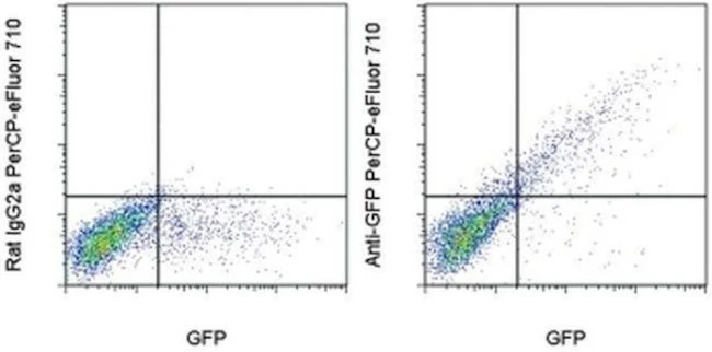 GFP Monoclonal Antibody (5F12.4), PerCP-eFluor 710, eBioscience