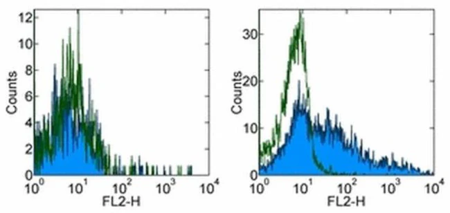 GL7 Monoclonal Antibody (GL-7 (GL7)), Biotin, eBioscience