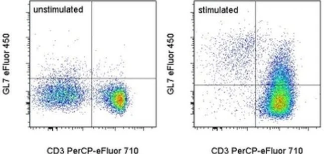 GL7 Monoclonal Antibody (GL-7 (GL7)), eFluor 450, eBioscience