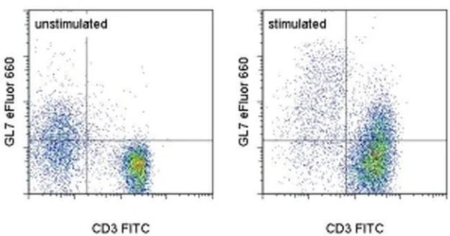 GL7 Monoclonal Antibody (GL-7 (GL7)), eFluor 660, eBioscience
