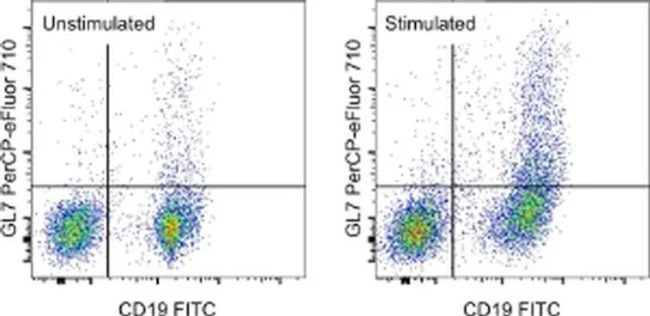 GL7 Monoclonal Antibody (GL-7 (GL7)), PerCP-eFluor 710, eBioscience