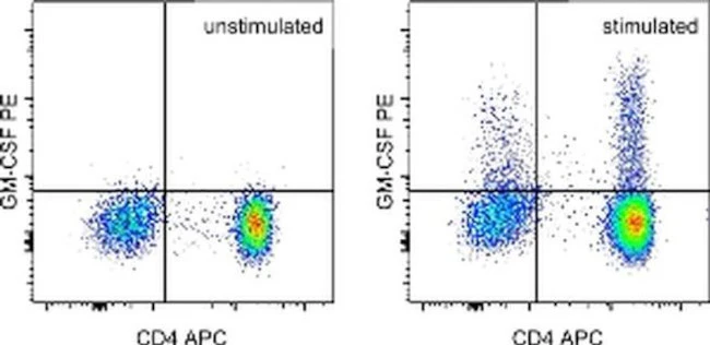 GM-CSF Monoclonal Antibody (DAVKAT), PE, eBioscience