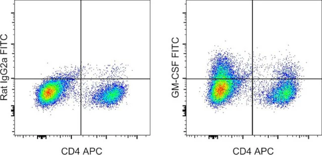 GM-CSF Monoclonal Antibody (MP1-22E9), FITC, eBioscience