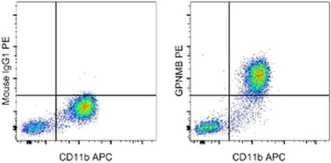 GPNMB Monoclonal Antibody (HOST5DS), PE, eBioscience