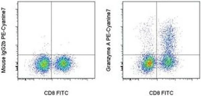 Granzyme A Monoclonal Antibody (GzA-3G8.5), PE-Cyanine7, eBioscience