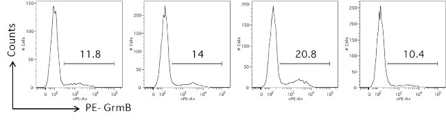 Granzyme B Monoclonal Antibody (GB11), PE, eBioscience