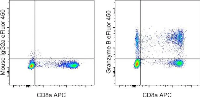 Granzyme B Monoclonal Antibody (N4TL33), eFluor 450, eBioscience