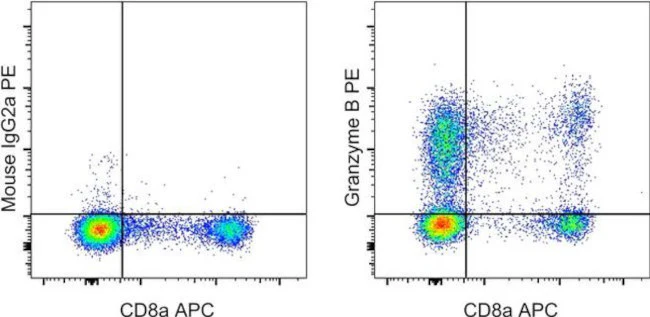 Granzyme B Monoclonal Antibody (N4TL33), PE, eBioscience