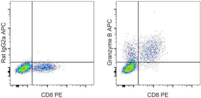 Granzyme B Monoclonal Antibody (NGZB), APC, eBioscience