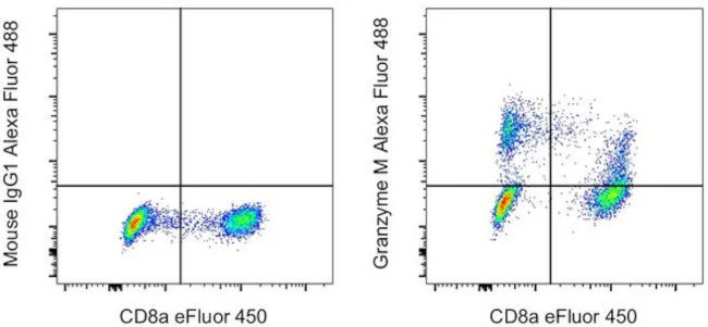 Granzyme M Monoclonal Antibody (4B2G4), Alexa Fluor 488, eBioscience