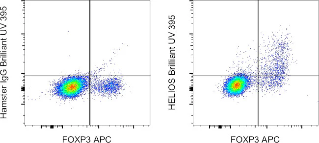 HELIOS Monoclonal Antibody (22F6), Brilliant Ultra Violet 395, eBioscience