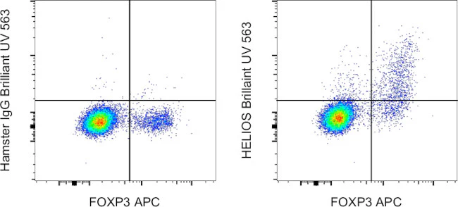 HELIOS Monoclonal Antibody (22F6), Brilliant Ultra Violet 563, eBioscience