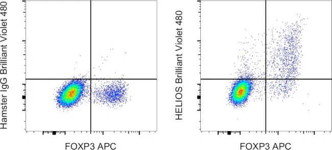 HELIOS Monoclonal Antibody (22F6), Brilliant Violet 480, eBioscience