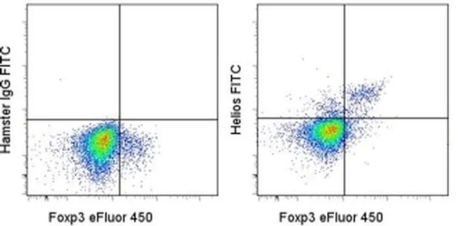 HELIOS Monoclonal Antibody (22F6), FITC, eBioscience