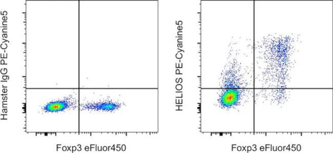 HELIOS Monoclonal Antibody (22F6), PE-Cyanine5, eBioscience