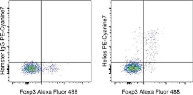 HELIOS Monoclonal Antibody (22F6), PE-Cyanine7, eBioscience