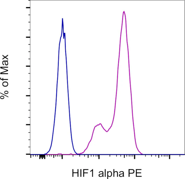 HIF-1 alpha Monoclonal Antibody (Mgc3), PE, eBioscience