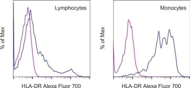 HLA-DR Monoclonal Antibody (LN3), Alexa Fluor 700, eBioscience
