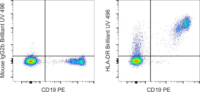 HLA-DR Monoclonal Antibody (LN3), Brilliant Ultra Violet 496, eBioscience
