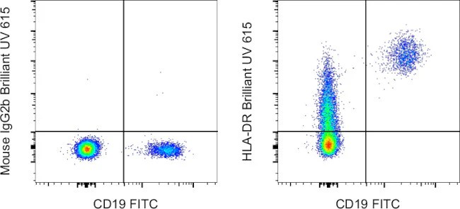 HLA-DR Monoclonal Antibody (LN3), Brilliant Ultra Violet 615, eBioscience