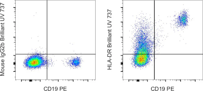 HLA-DR Monoclonal Antibody (LN3), Brilliant Ultra Violet 737, eBioscience