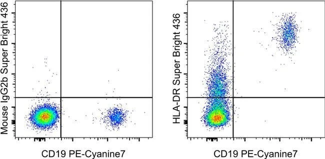 HLA-DR Monoclonal Antibody (LN3), Super Bright™ 436, eBioscience™