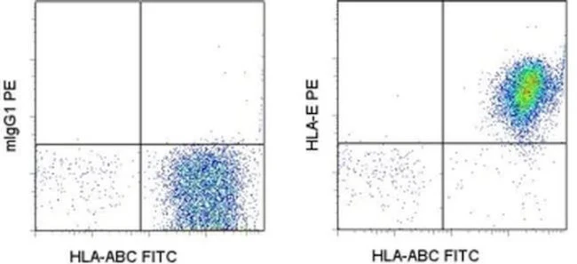 HLA-E Monoclonal Antibody (3D12HLA-E), PE, eBioscience