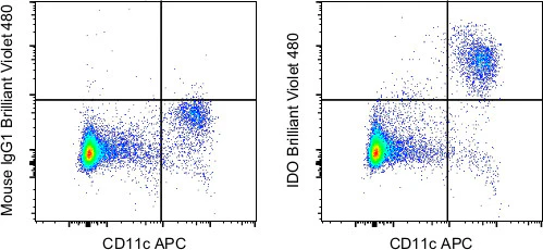 IDO Monoclonal Antibody (eyedio), Brilliant Violet 480, eBioscience