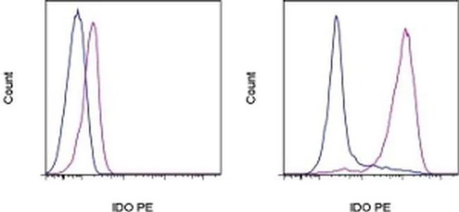 IDO Monoclonal Antibody (eyedio), PE, eBioscience