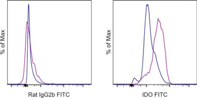 IDO Monoclonal Antibody (mIDO-48), FITC, eBioscience