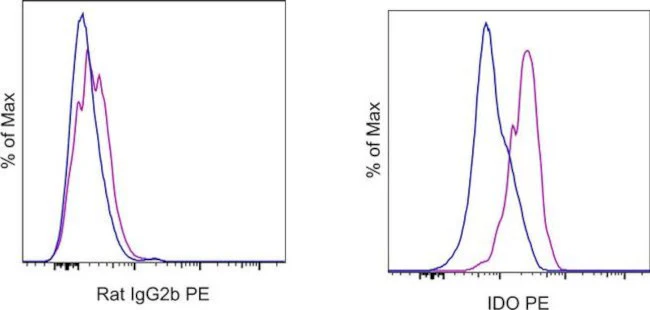 IDO Monoclonal Antibody (mIDO-48), PE, eBioscience