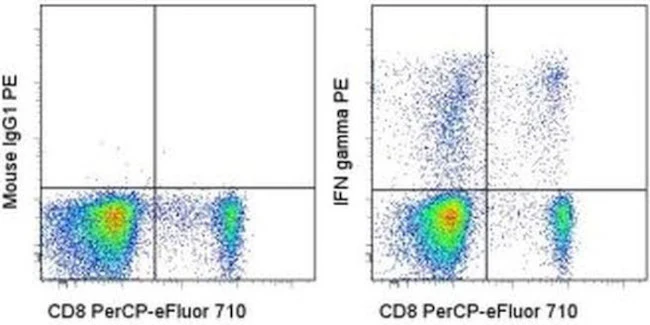 IFN gamma Monoclonal Antibody (4S.B3), PE, eBioscience
