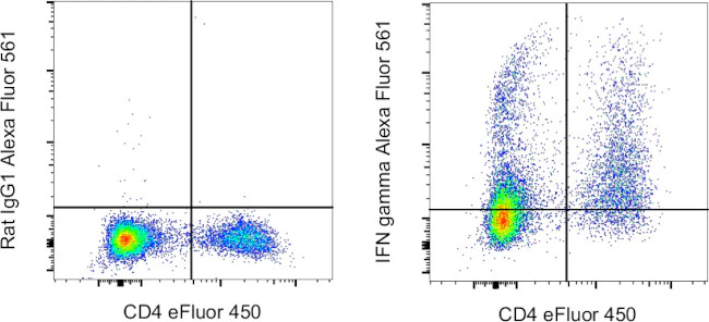 IFN gamma Monoclonal Antibody (XMG1.2), Alexa Fluor 561, eBioscience