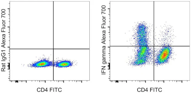 IFN gamma Monoclonal Antibody (XMG1.2), Alexa Fluor 700, eBioscience