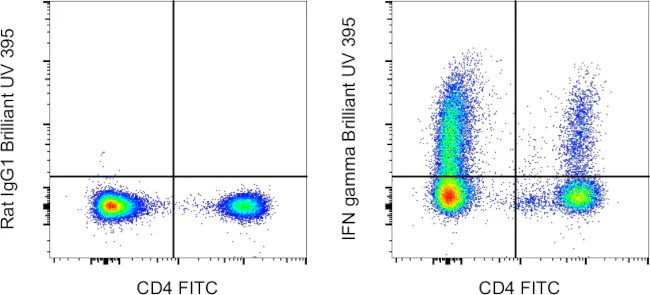 IFN gamma Monoclonal Antibody (XMG1.2), Brilliant Ultra Violet™ 395, eBioscience™