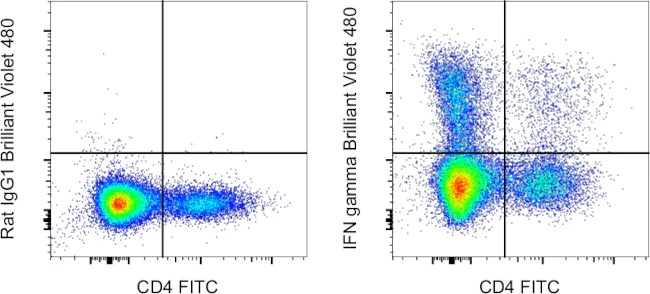 IFN gamma Monoclonal Antibody (XMG1.2), Brilliant Violet 480, eBioscience