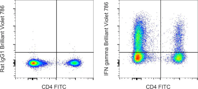 IFN gamma Monoclonal Antibody (XMG1.2), Brilliant Violet™ 786, eBioscience™