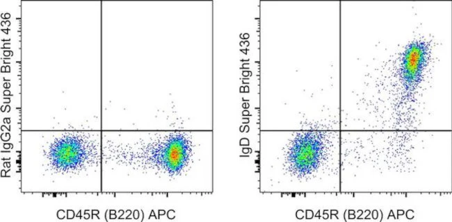 IgD Monoclonal Antibody (11-26c (11-26)), Super Bright 436, eBioscience