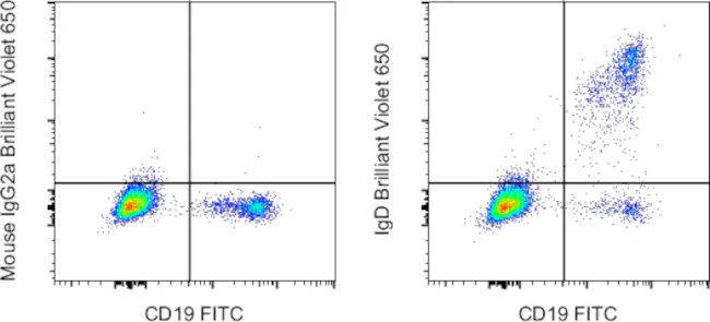IgD Monoclonal Antibody (IA6-2), Brilliant Violet 650, eBioscience