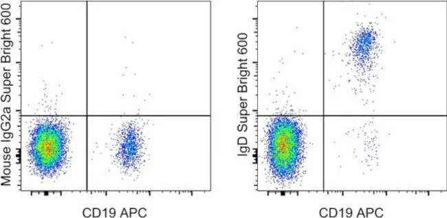 IgD Monoclonal Antibody (IA6-2), Super Bright 600, eBioscience