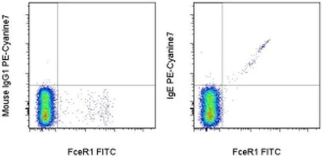 IgE Monoclonal Antibody (Ige21), PE-Cyanine7, eBioscience