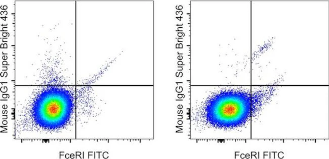 IgE Monoclonal Antibody (Ige21), Super Bright 436, eBioscience