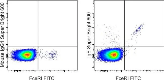 IgE Monoclonal Antibody (Ige21), Super Bright 600, eBioscience