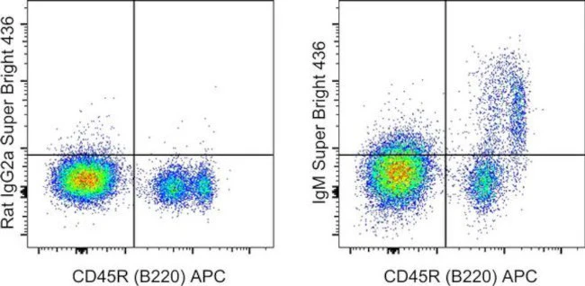 IgM Monoclonal Antibody (eB121-15F9), Super Bright 436, eBioscience