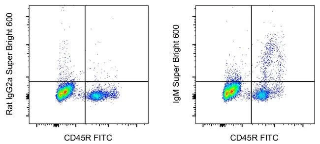 IgM Monoclonal Antibody (eB121-15F9), Super Bright™ 600, eBioscience™