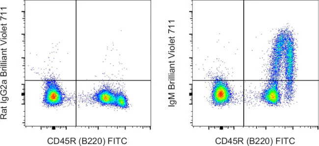 IgM Monoclonal Antibody (II/41), Brilliant Violet™ 711, eBioscience™