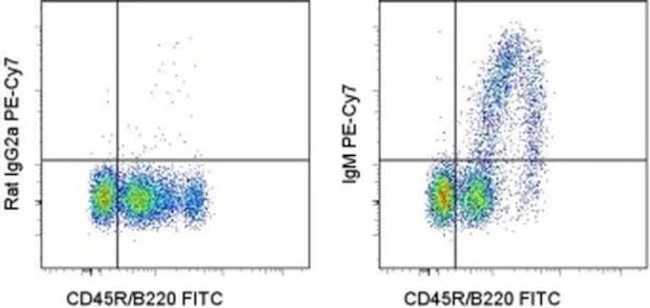 IgM Monoclonal Antibody (II/41), PE-Cyanine7, eBioscience